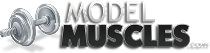 Model Muscles logo